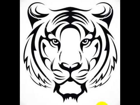 قارب اختياري رذاذ رسم نمر سهل - sabotgitansanita.com