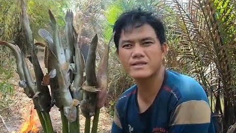 TRẢI NGHIỆM SĂN BẮT GIAO LƯU  SINH TỒN CÙNG ĐẠT NGUYỄN CẦN GIỜ VÀ ANH EM BỜ BĂNG