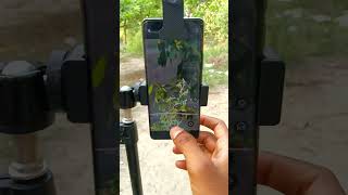 20x zoom lens #song #photography #trending #shortvideo #short #short #viral #video #viralshorts