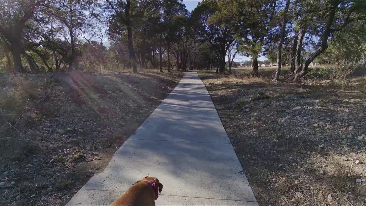 Fimi Palm 2 Second Walk