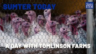 Sumter Today: A Day on Tomlinson Farms