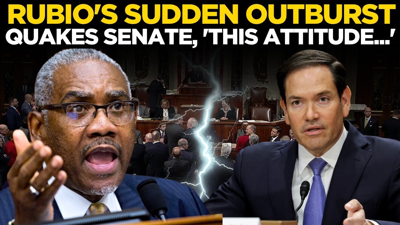 US Senate LIVE: ‘Enough, Not Here For Lessons’: Rubio Suddenly Yells Mid-Response During Hearing