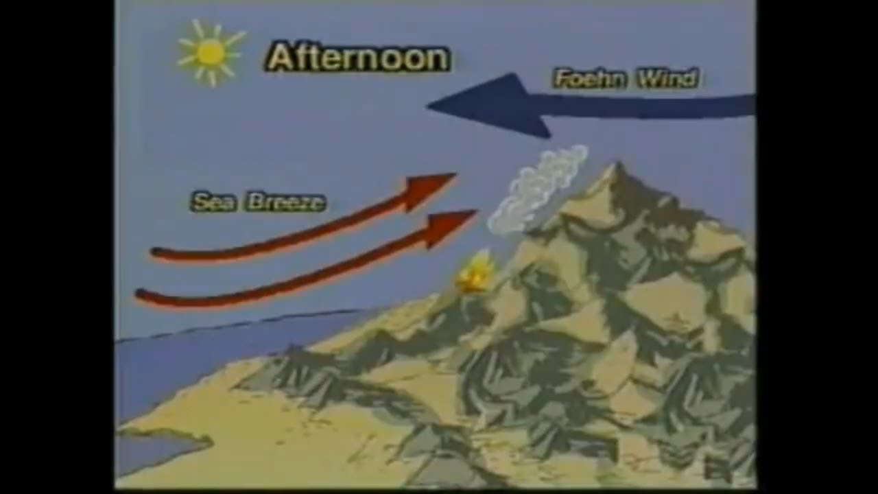 Understanding Wildfire Environment - YouTube