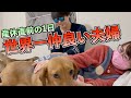 【SKJ/sa2】お腹パンパンで動けない妊娠妻との1日を全部見せます！
