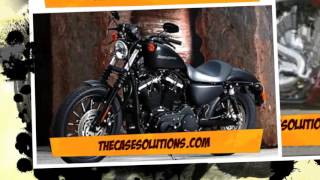 Famous Harley-Davidson in India (B) Case Solutions Profile