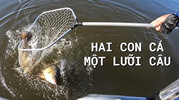 Bắt Được Một Con Cá Nhưng Vớt Lên Được Hai Con - Two Fish One Hook | #41 | Đức Ở Úc Câu Cá