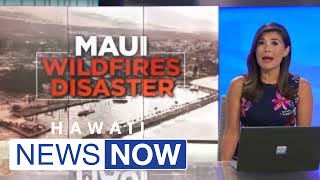 Over 1,000 Maui fire survivors planning to sue Kamehameha Schools, state and utility companies