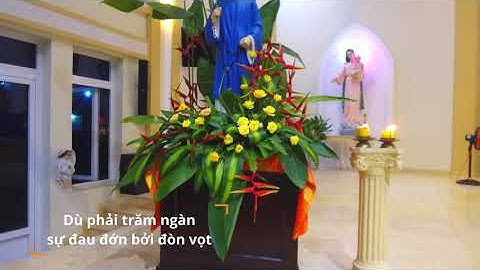 Thánh Tử Đạo Việt Nam - Giuse Hoàng Lương Cảnh #short