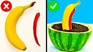 How To Regrow Everything || Plant Hacks To Grow Your Own Garden