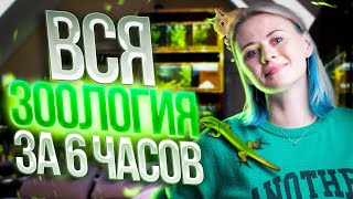 Вся зоология за 6 часов | Биология ЕГЭ - Напольская Ксения