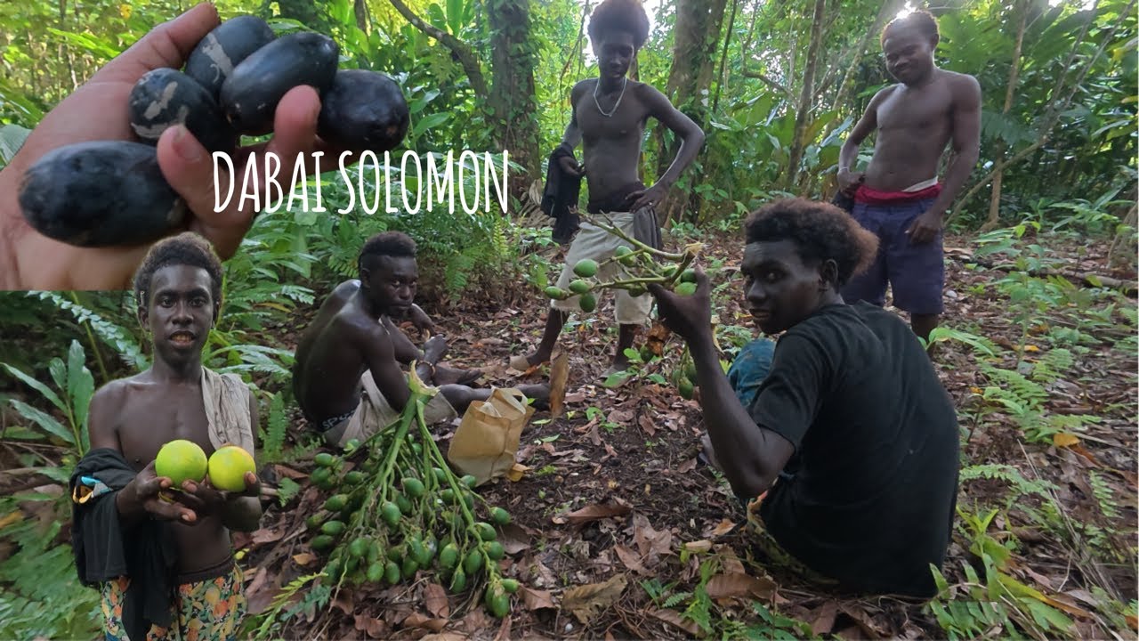 DABAI SOLOMON..,,!! BUAH SAMA TAPI CARA MAKAN BERBEZA // KE KEBUN EDEN PANEN BUAH 