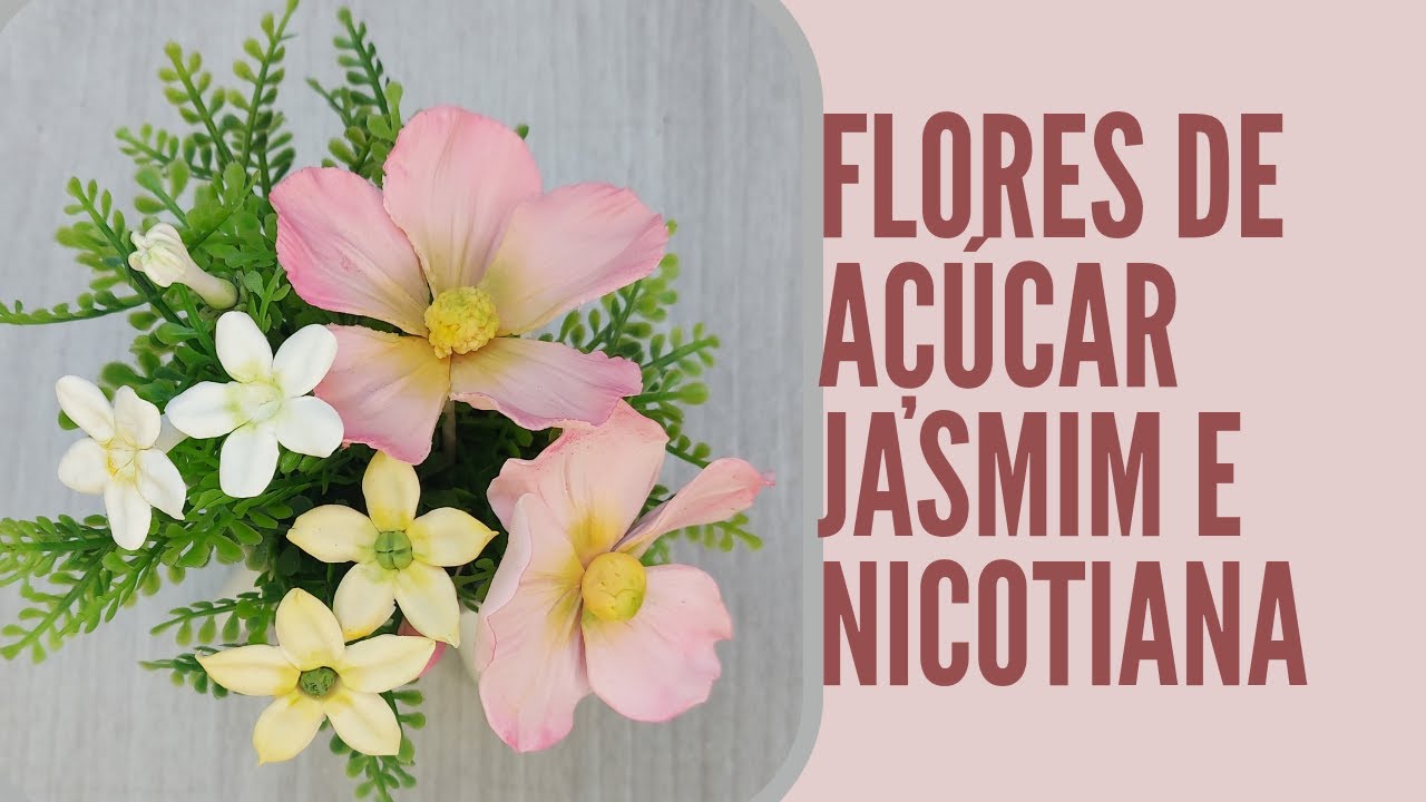 Flores de açúcar Jasmim e Nicotiana ,lindas para vc decorar seu doces personalizado e os bolos