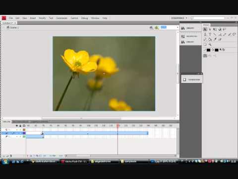 Video: Come Creare Una Presentazione In Flash