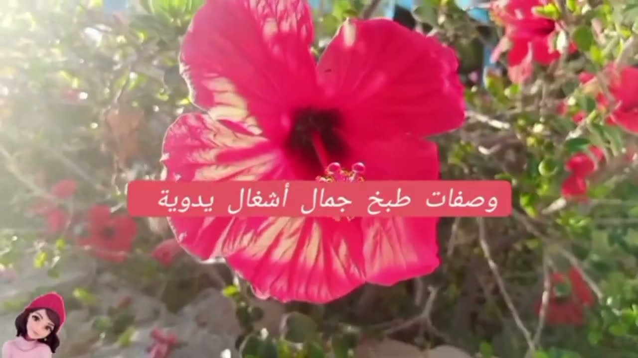 جولة في حديقتي مناظير جميلة ☘️🪴🍀🌺