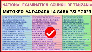 Jinsi ya kupata Matokeo ya Darasa la Saba 2023/2024 Bila Bando PSLE Results