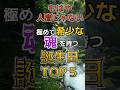 【神の使い】もはや人間じゃない、極めて希少な魂を持つ誕生日TOP5