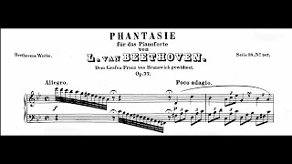 Beethoven - Fantaisie in G minor Op.77 (Fischer)