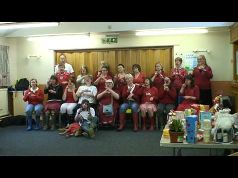 Deaf Connexions BSL Signed Red Nose Song