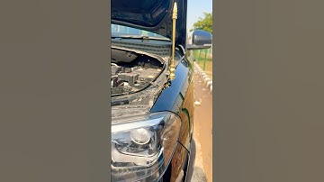 Scorpion flag rod fitting #shorts #reels #carlover #flag