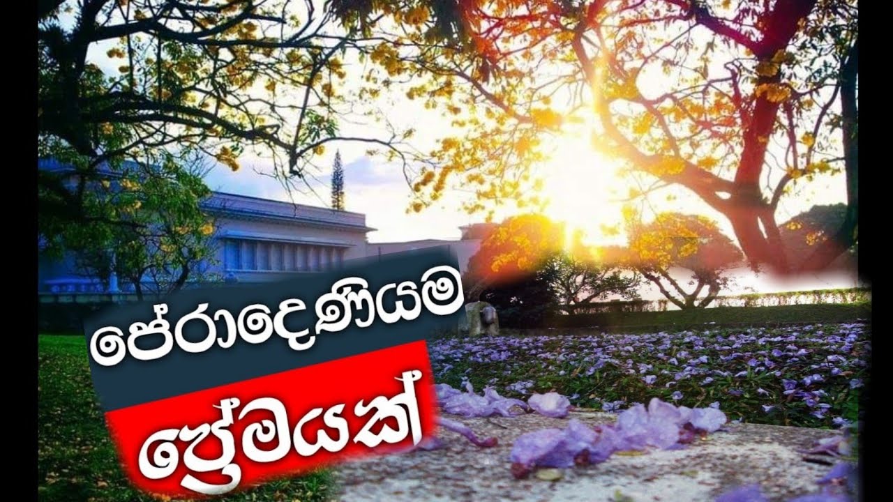 දවසක්...ඒවි... අපිත්..අපේ..හීන.. වලට...යාවී..💓💓