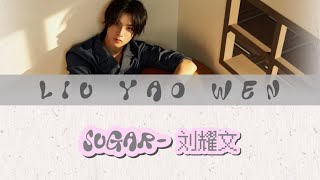 TNT时代少年团 刘耀文-《SUGAR》歌词版