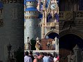 #disneymagic #disney #orlandoflorida #wdw #orlando #magickingdom #perfectdays