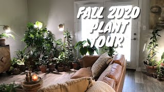 Indoor Houseplant Tour | Houseplant Collection Fall 2020