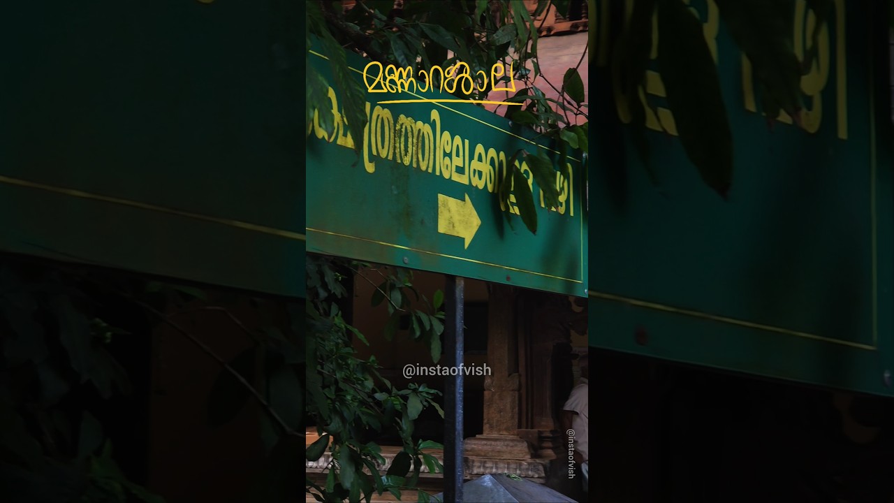 മണ്ണാറശ്ശാല നാഗരാജ ക്ഷേത്രം ♥️ Mannarssala temple ❤️ haripad, Alappuzha, Kerala