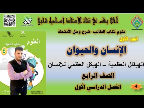 الإنسان والحيوان الهياكل العظمية الهيكل العظمي للإنسان الصف الرابع علوم الفصل الدراسي الأول 