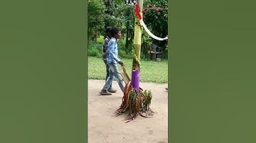 Adivasi Culture Video Assam Please Support #shortvideo #christianfaith #vairalvideo #assamtezpur