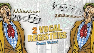 Download Lagu Chest AND Falsetto in the Same Voice! | Vocal Registers MP3