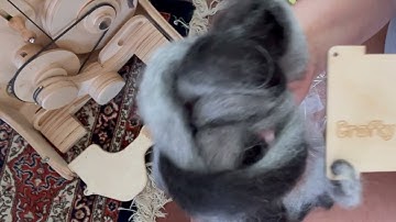 how to use a spinners tool- yarn spinning- twist- gage- WPI