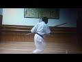 Sakugawa no Kon.Shotokai kata.