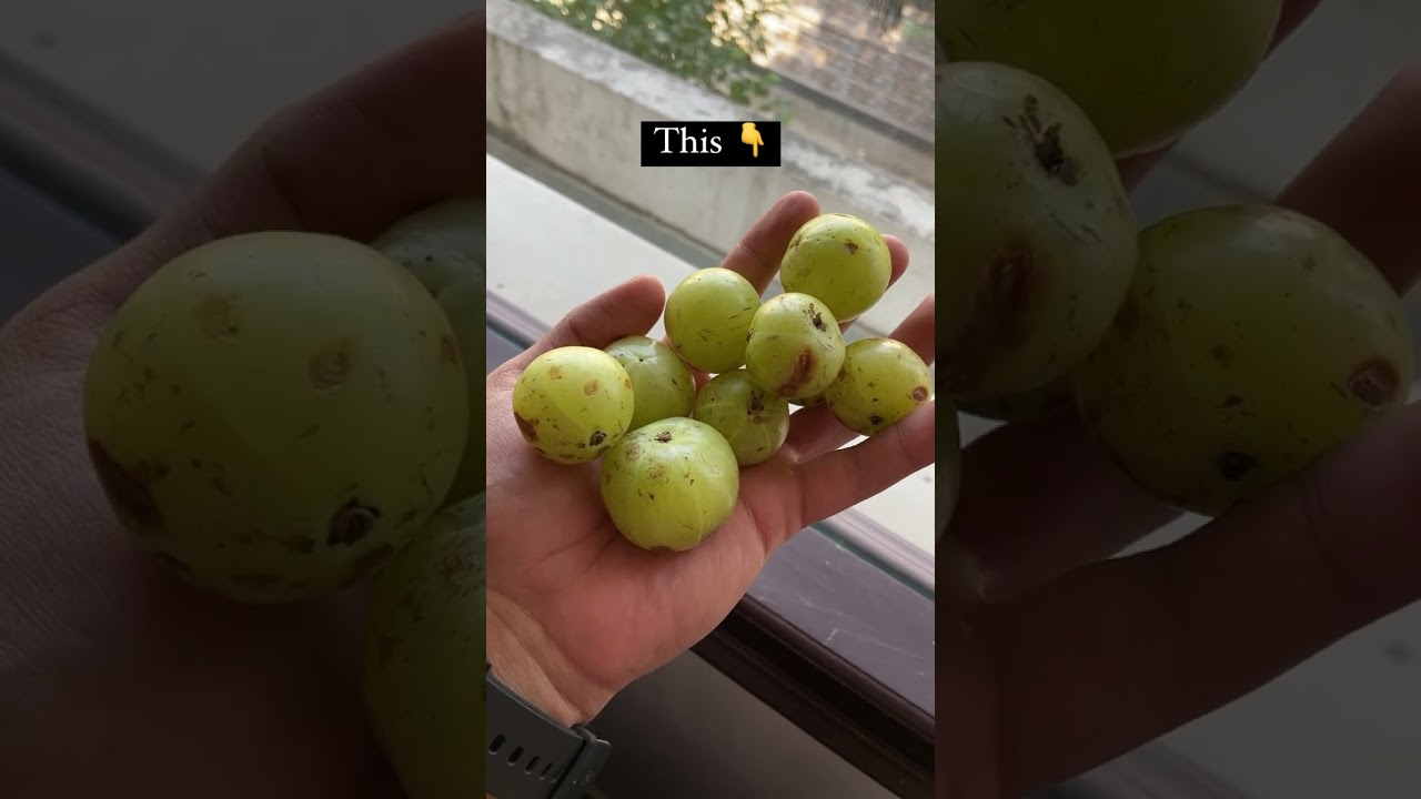 Can you guess what it is ? 