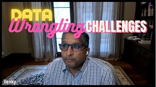 Data Wrangling and AI Transformation // Venky Ganti & Laurel Orr // MLOps Podcast #196 clip