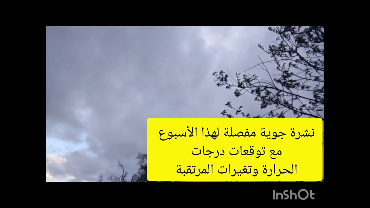 #اخبار الطقس #وٱخر الاحصائيات 🛑