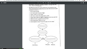 Module 2 Intro Video 1