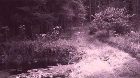 05 KK.NULL, Chris Watson & Z