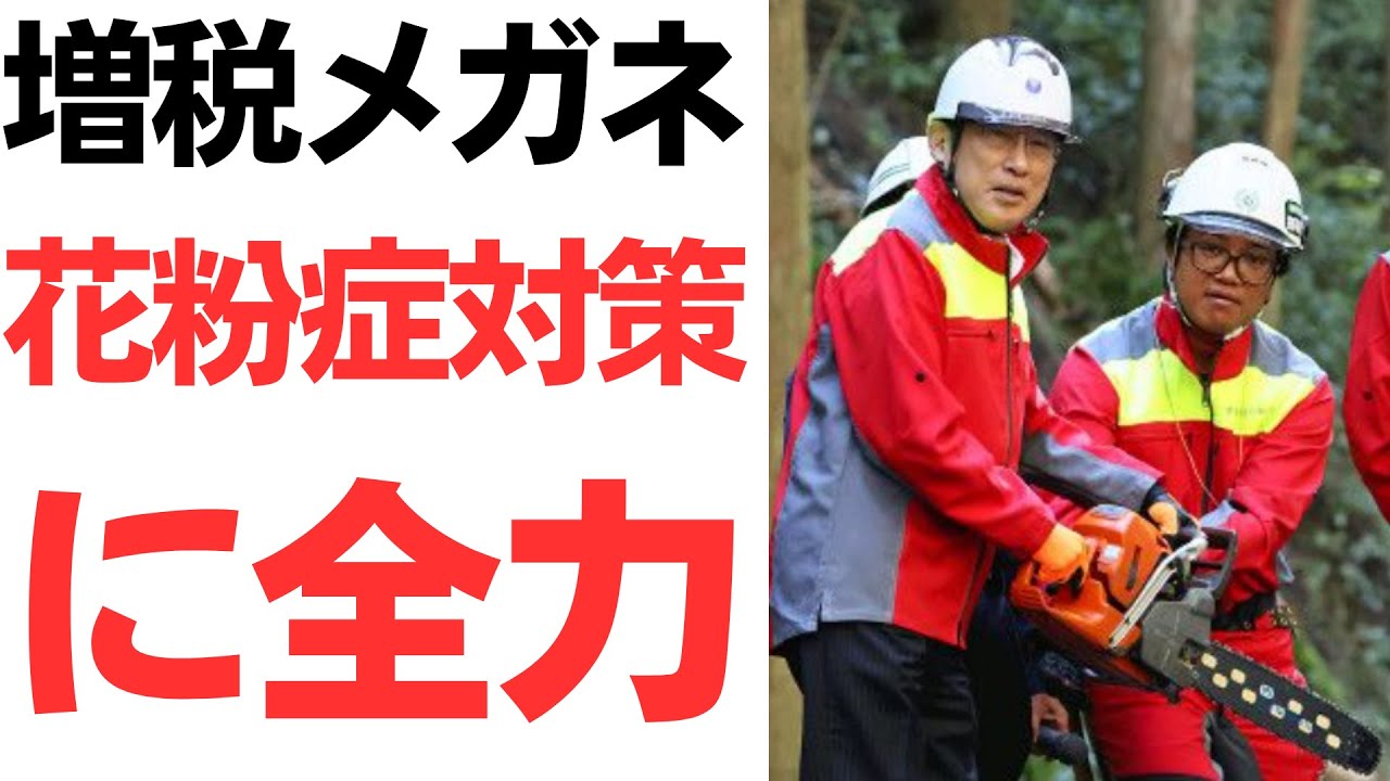 増税メガネ岸田・花粉症対策に全力！いや、他にやることあるだろ…を扱う動画のサムネイル