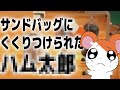 サンドバッグにくくりつけられたハ〇太郎
