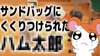 サンドバッグにくくりつけられたハ〇太郎
