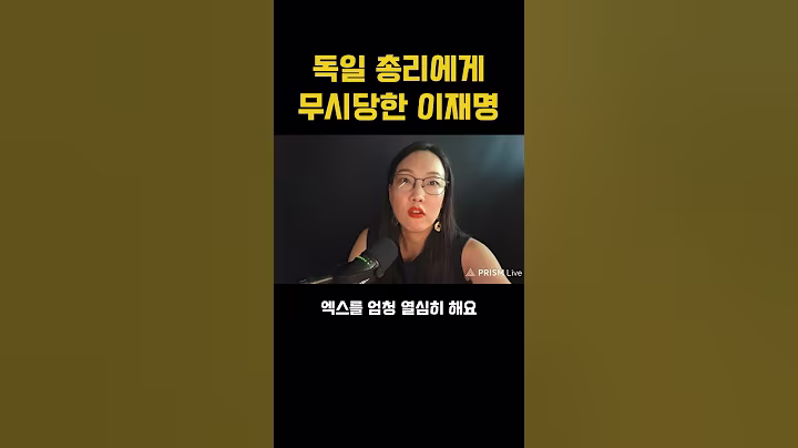이재명 외교 참사
