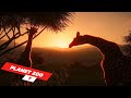 Expand our brand new zoo | ep 7 | Planet Zoo | ZwollywoodZz