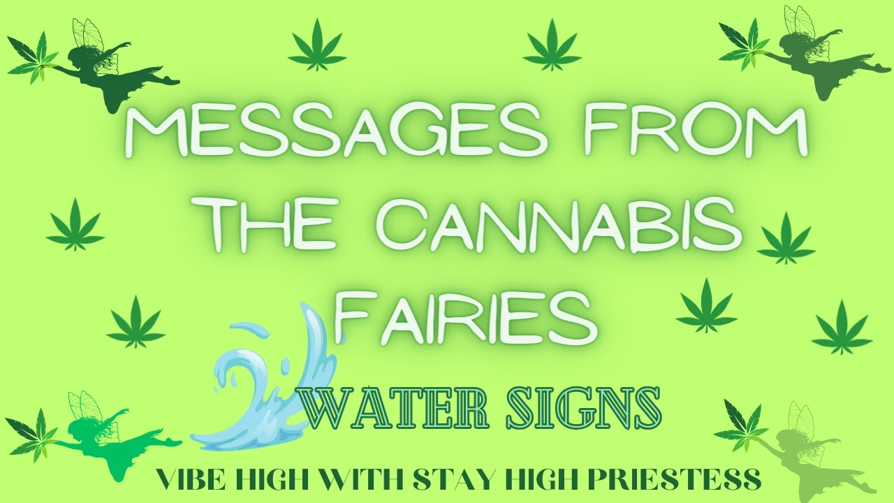 TAROT READ FOR💦WATER SIGNS! 🧚CANNAFAIRY MESSAGE🧚‍♀️