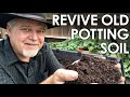 How To Re-Use Old Potting Soil - 4 Methods for Recycling || Black Gumbo