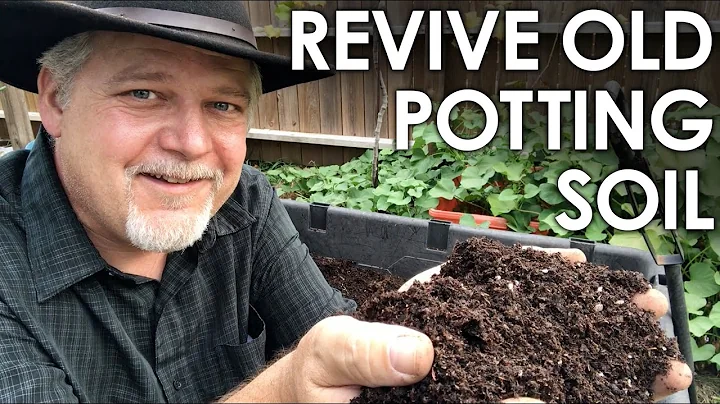 How To Re-Use Old Potting Soil - 4 Methods for Rec...