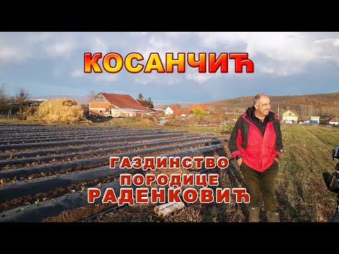 Косанчић - Домаћинство Раденковић