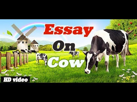 essay on cow in nepali for class 5