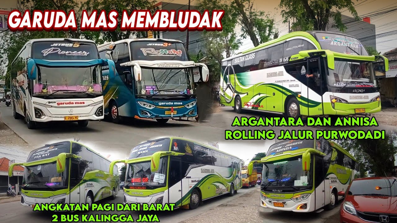 WOW KALINGGA JAYA LANGSUNG BUKA ANGKATAN PAGI DARI BARAT | BUS JALUR PURWODADI MEMBLUDAK