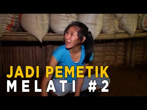 Aduh kalo bersihin kotoran seperti ini siapa yang tahan | JIKA AKU MENJADI